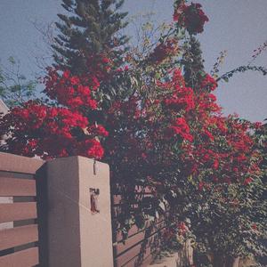 吃少妇奶头一丝不挂裸体
